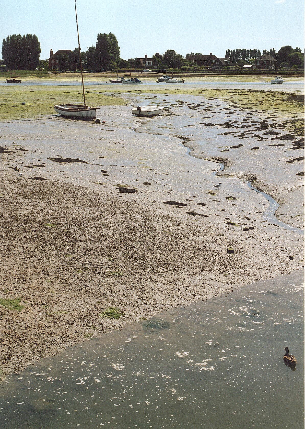 Mudflats