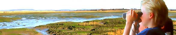 Picture of Children looking through binoculars across Chichester Harbour