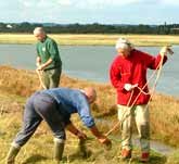 Picture of people helping the team